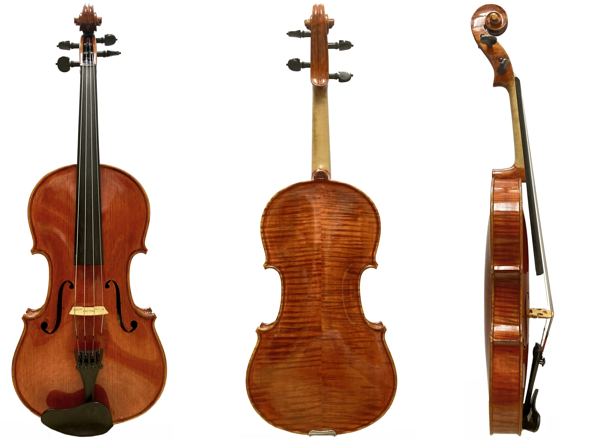 Viola von Mario Gadda Mantua 1969