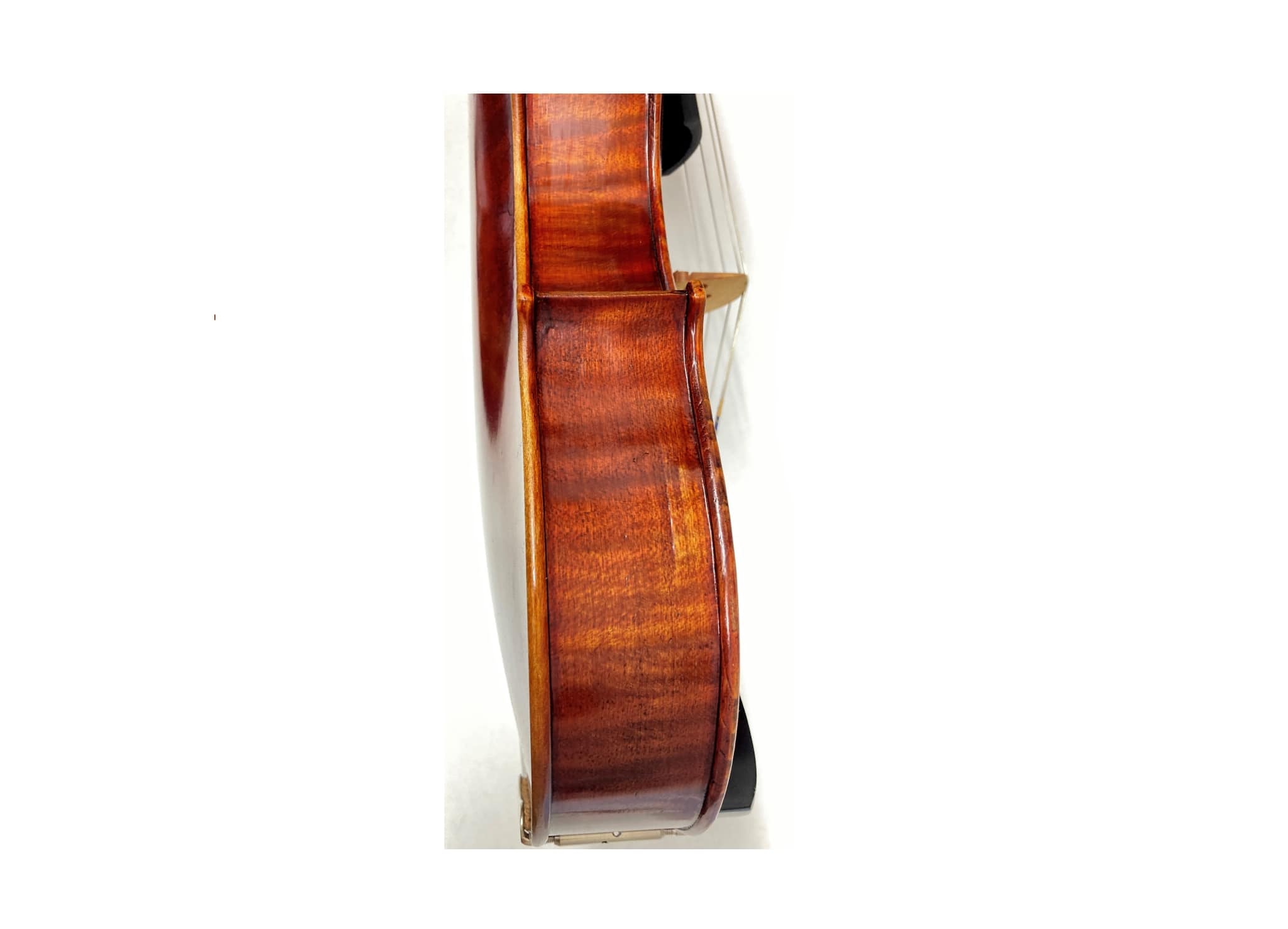 Viola Forte Walter Mahr Bubenreuth 2005