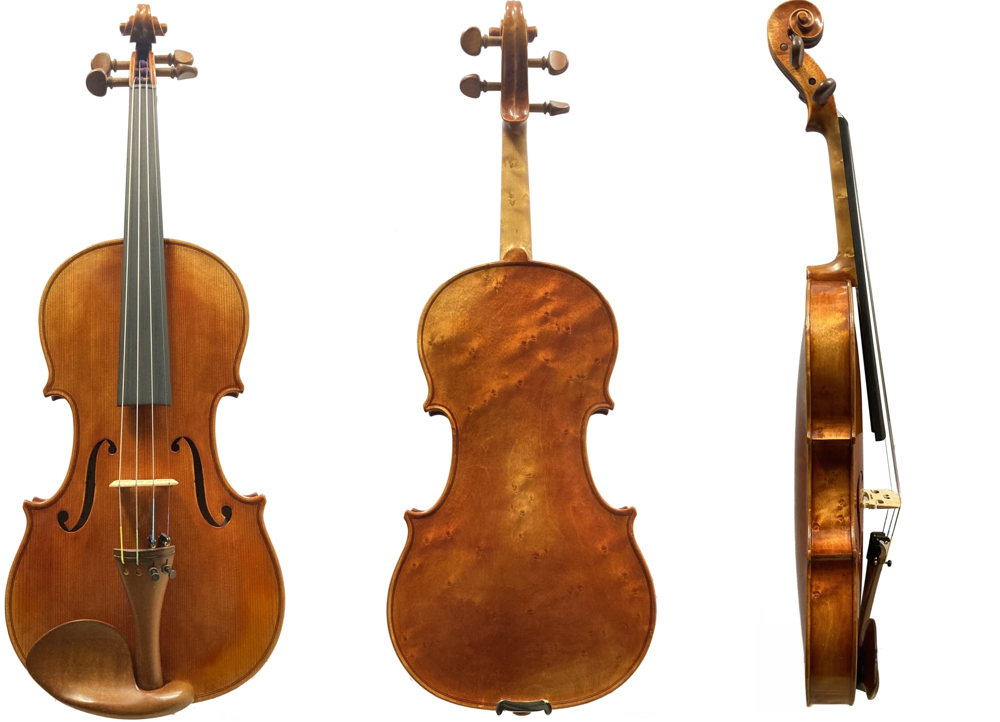 Geige von Klaus Schlegel Erlbach 2025