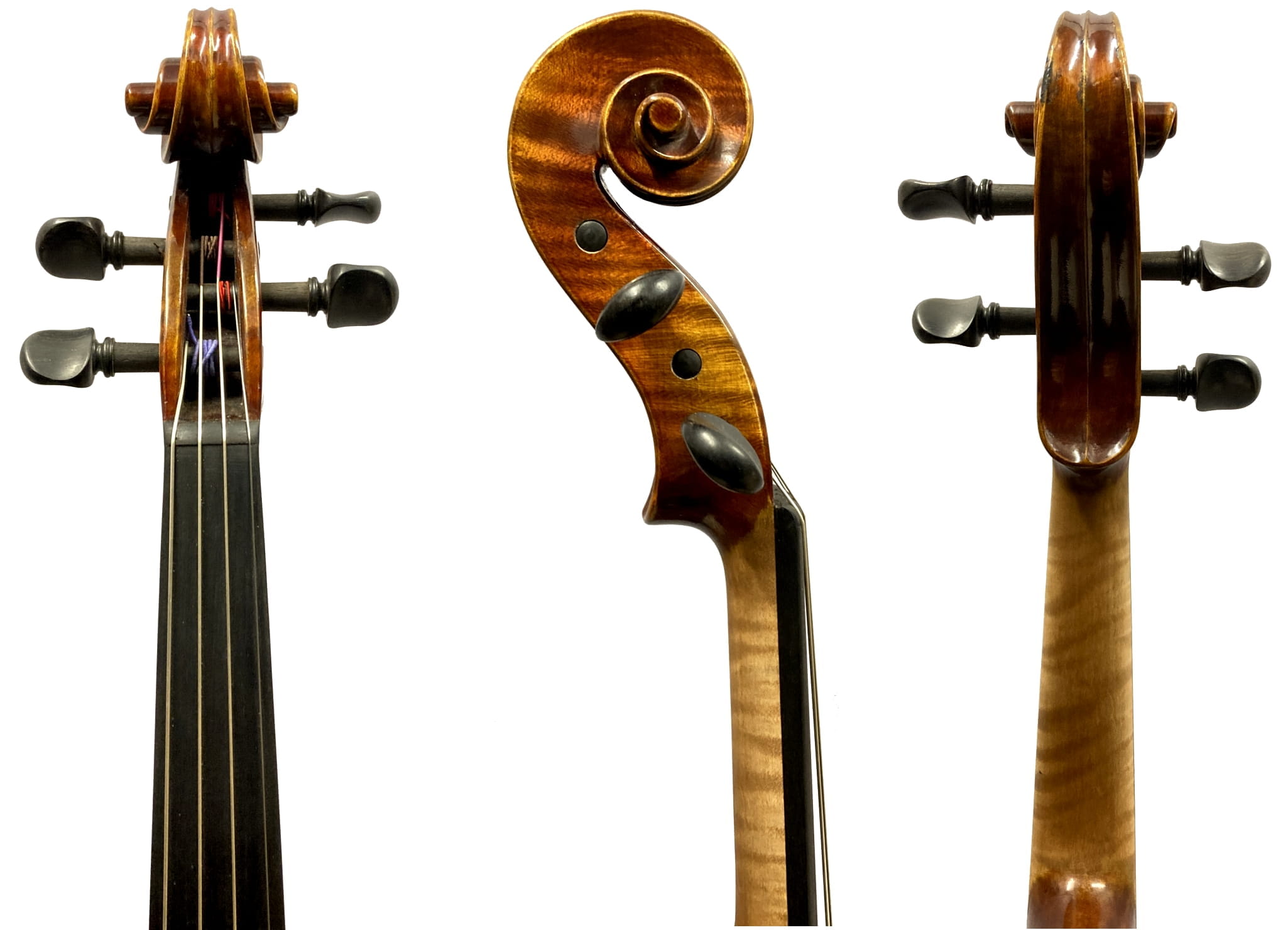 Viola-kurt-lutz-v231-2(1)