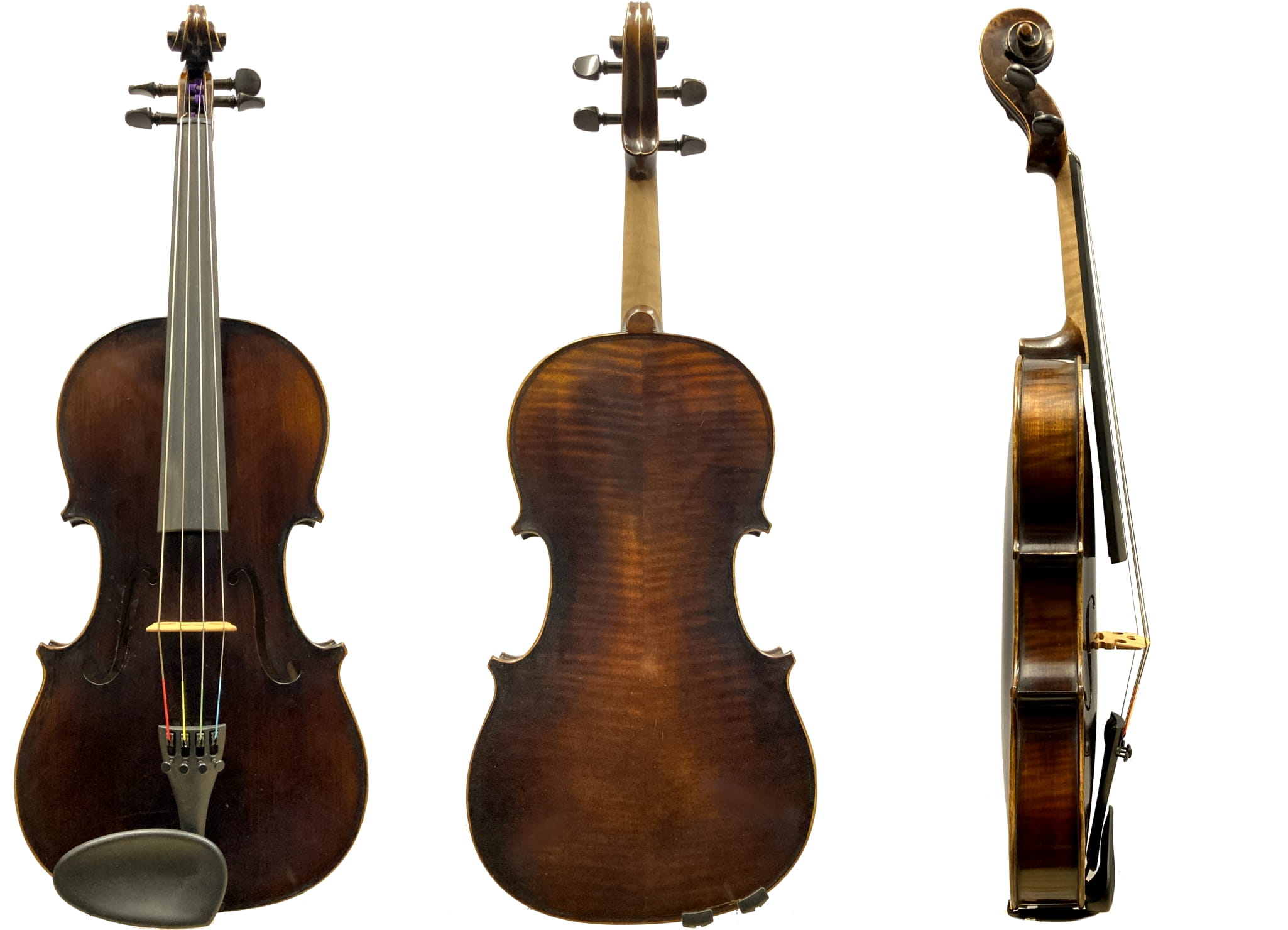 viola-walter-mahr-v232-1(1)