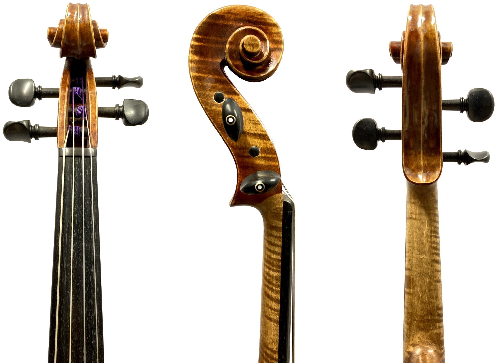 viola-walter-mahr-v234-2(1)