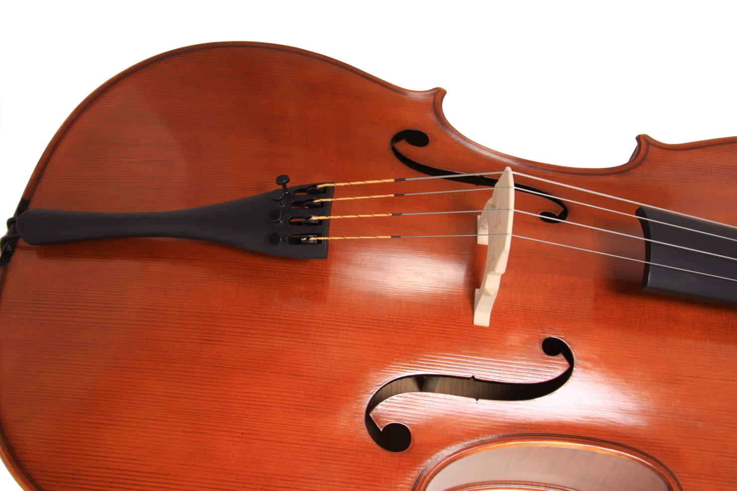 alois-sandner-cello-8224-3