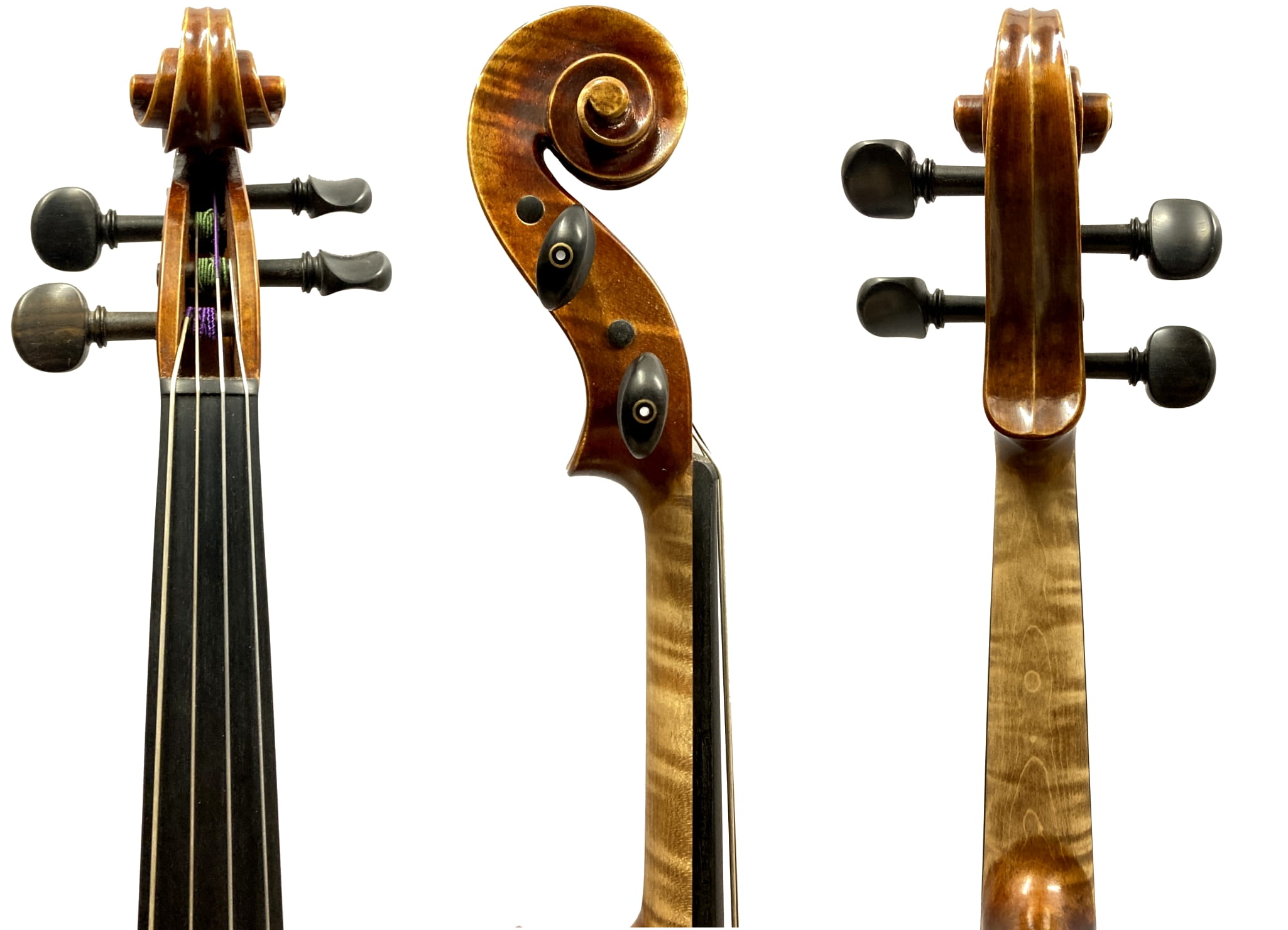 viola-walter-mahr-v233-2(1)