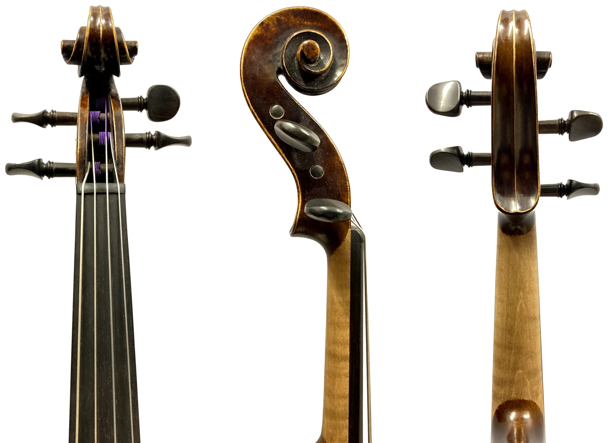 viola-walter-mahr-v232-2(1)