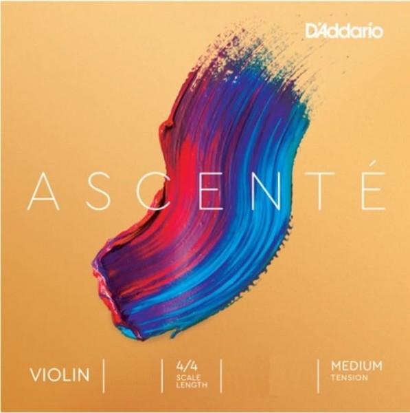 Ascenté Violinsaite von Daddario D-Saite 4/4