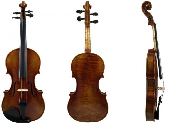 Violine-MW1-1