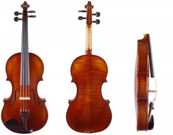 Atelier Geige mit fantastischem Klangholz